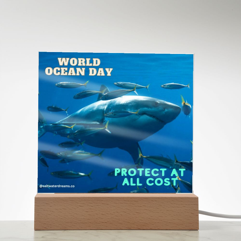 WOD - great white - Acrylic Square
