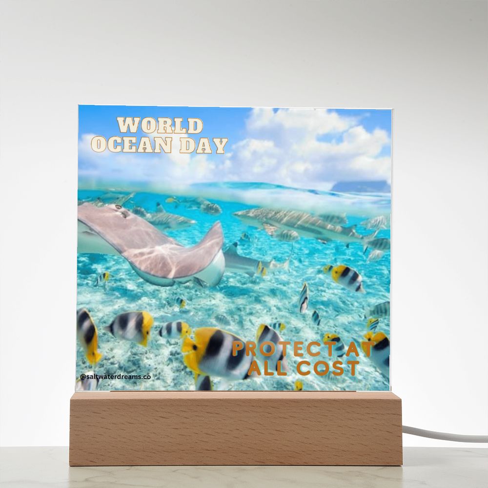 WOD - ray - Acrylic Square