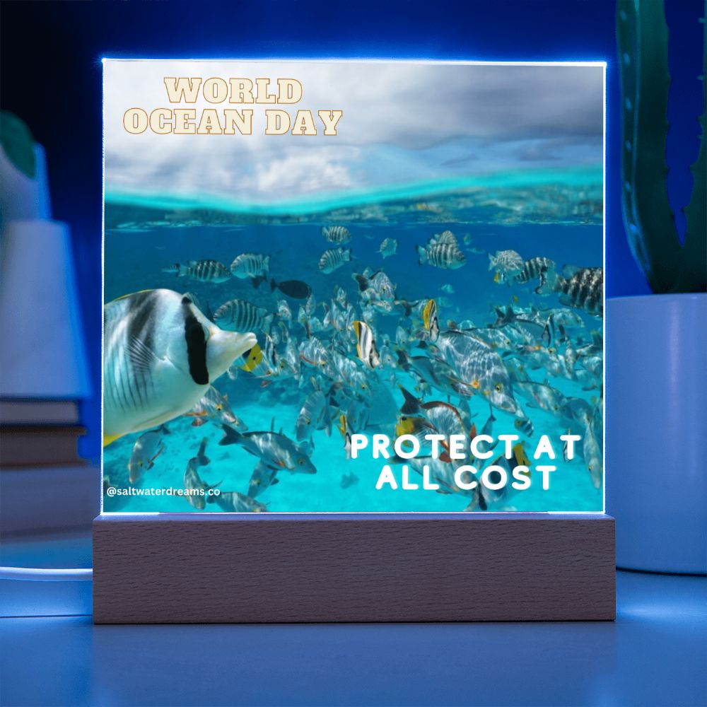 WOD - fish - Acrylic Square