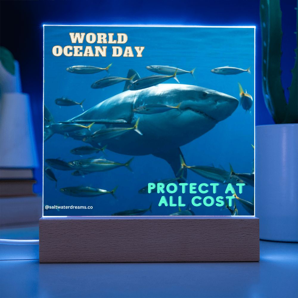 WOD - great white - Acrylic Square