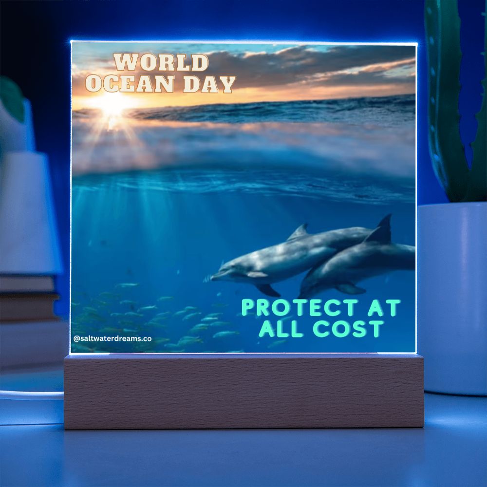 WOD - dolphin sunrise - Acrylic Square