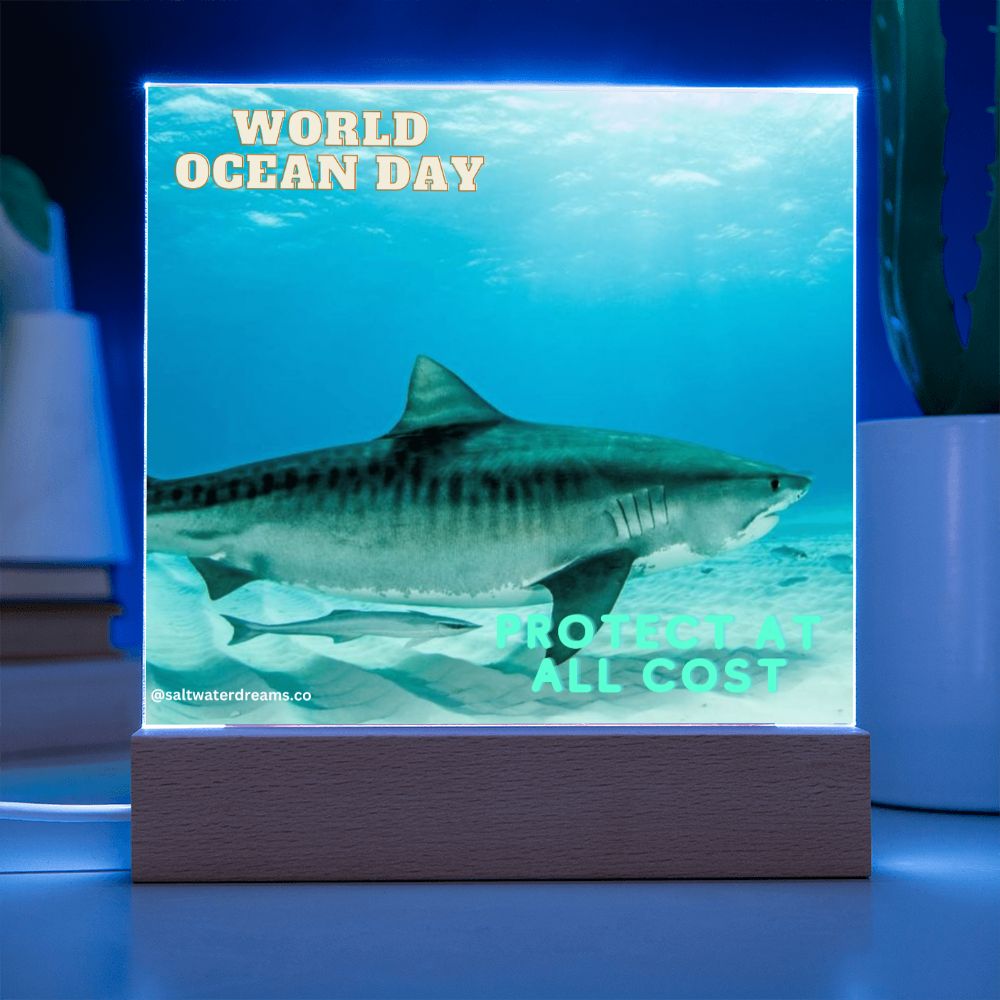 WOD - tiger shark 2 - Acrylic Square
