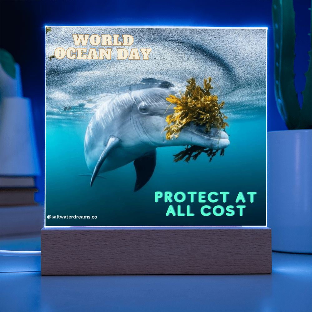 WOD - dolphin seaweed - Acrylic Square