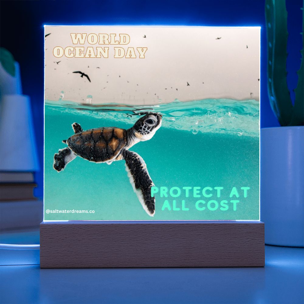 WOD - baby turtle - Acrylic Square