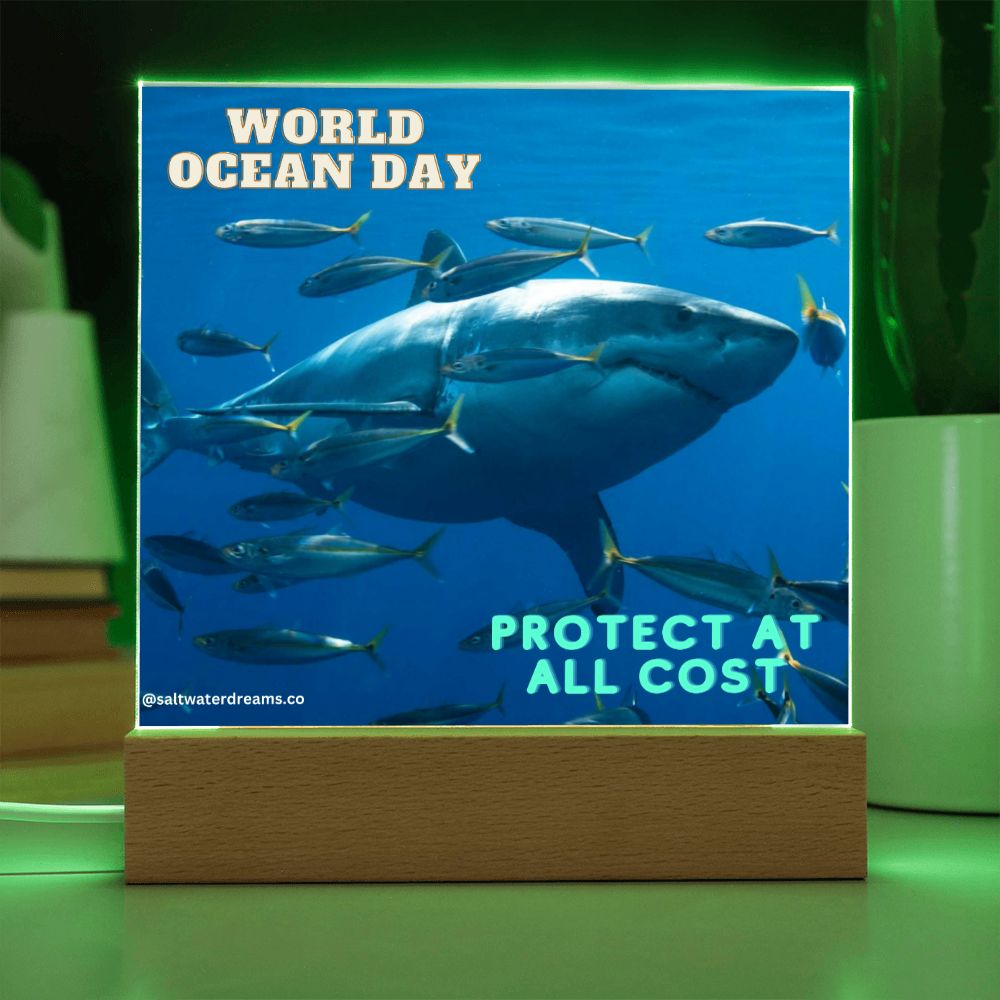 WOD - great white - Acrylic Square