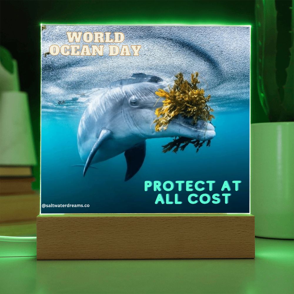 WOD - dolphin seaweed - Acrylic Square