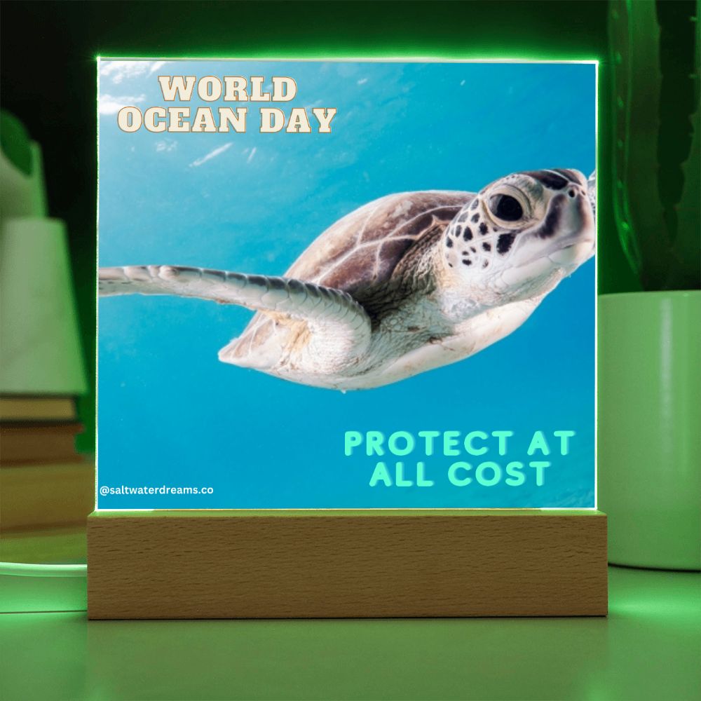 WOD - green sea turtle - Acrylic Square