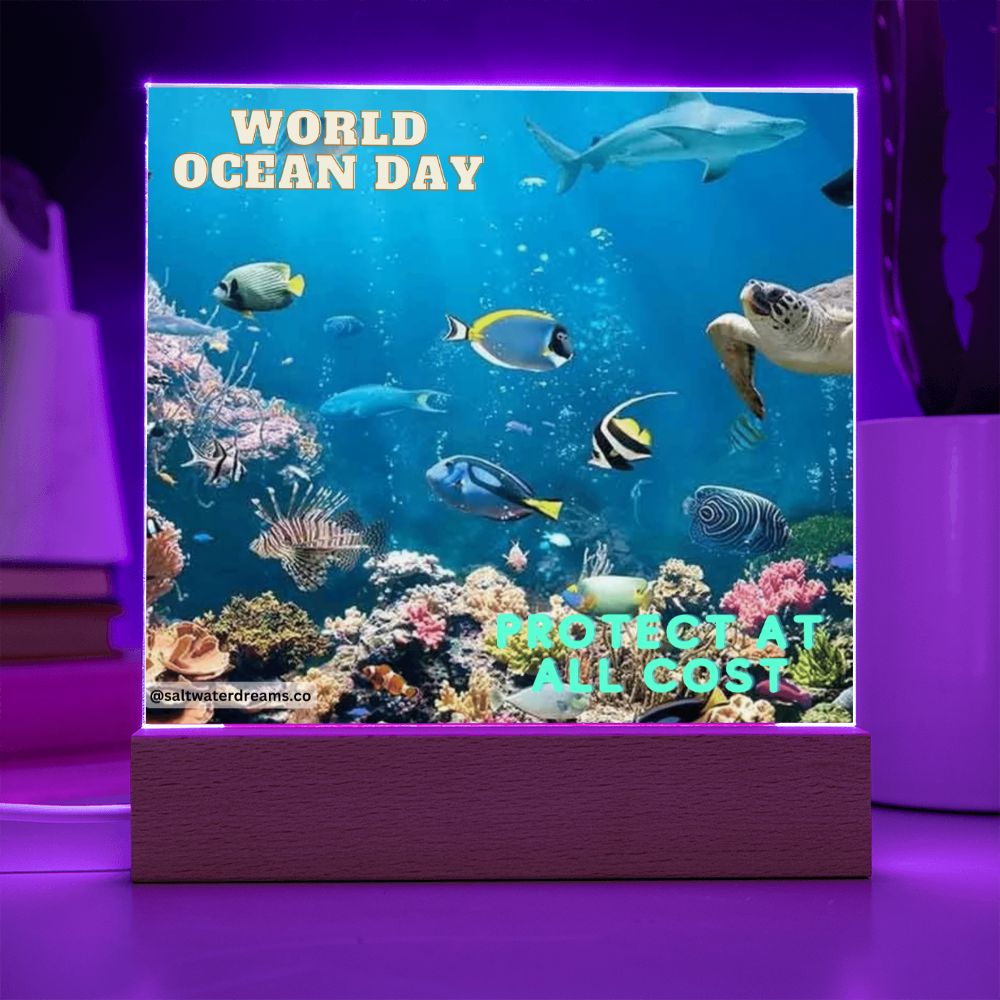WOD - reef - Acrylic Square