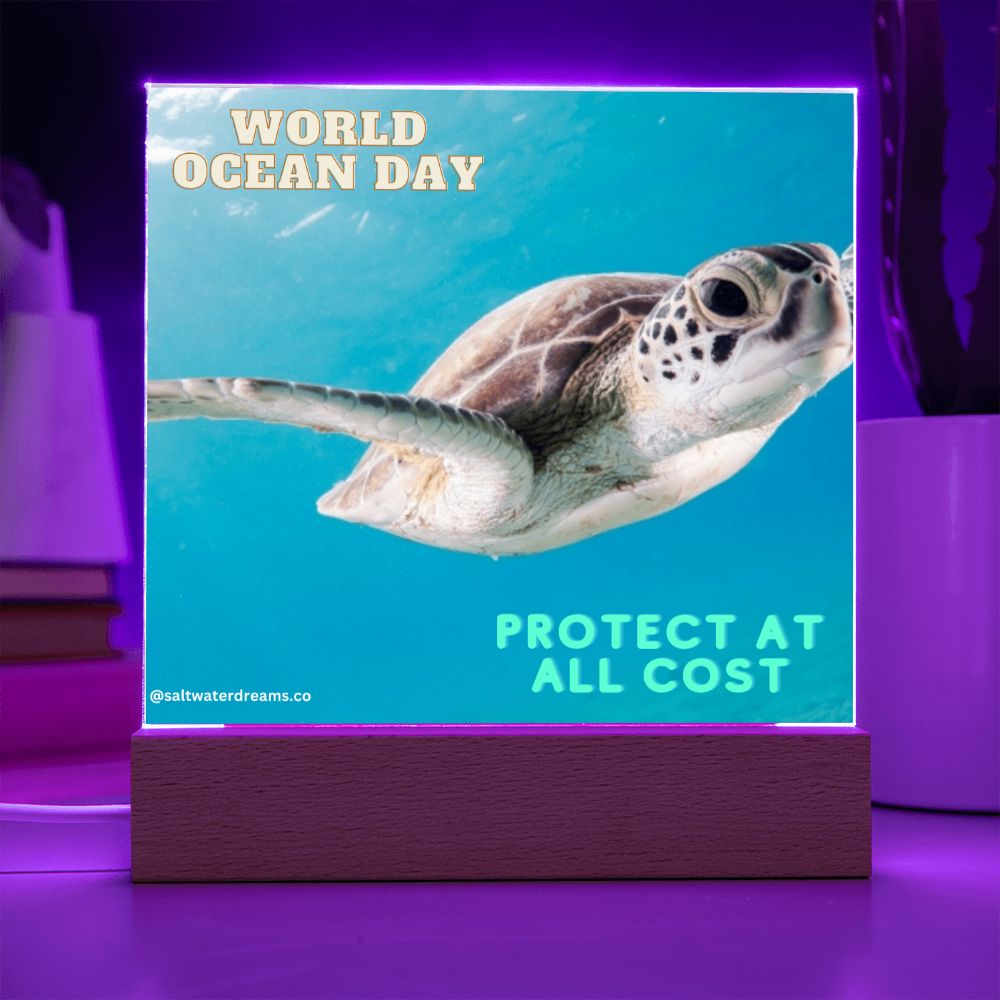 WOD - green sea turtle - Acrylic Square