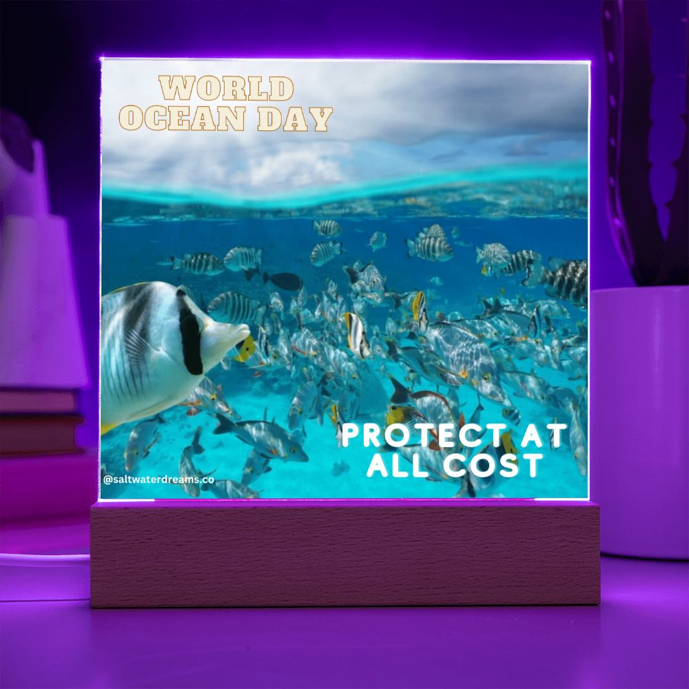 WOD - fish - Acrylic Square