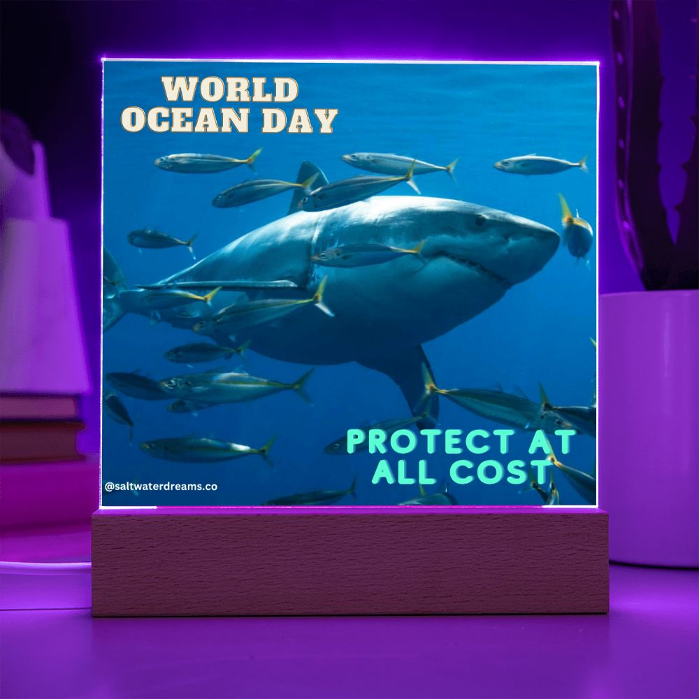 WOD - great white - Acrylic Square