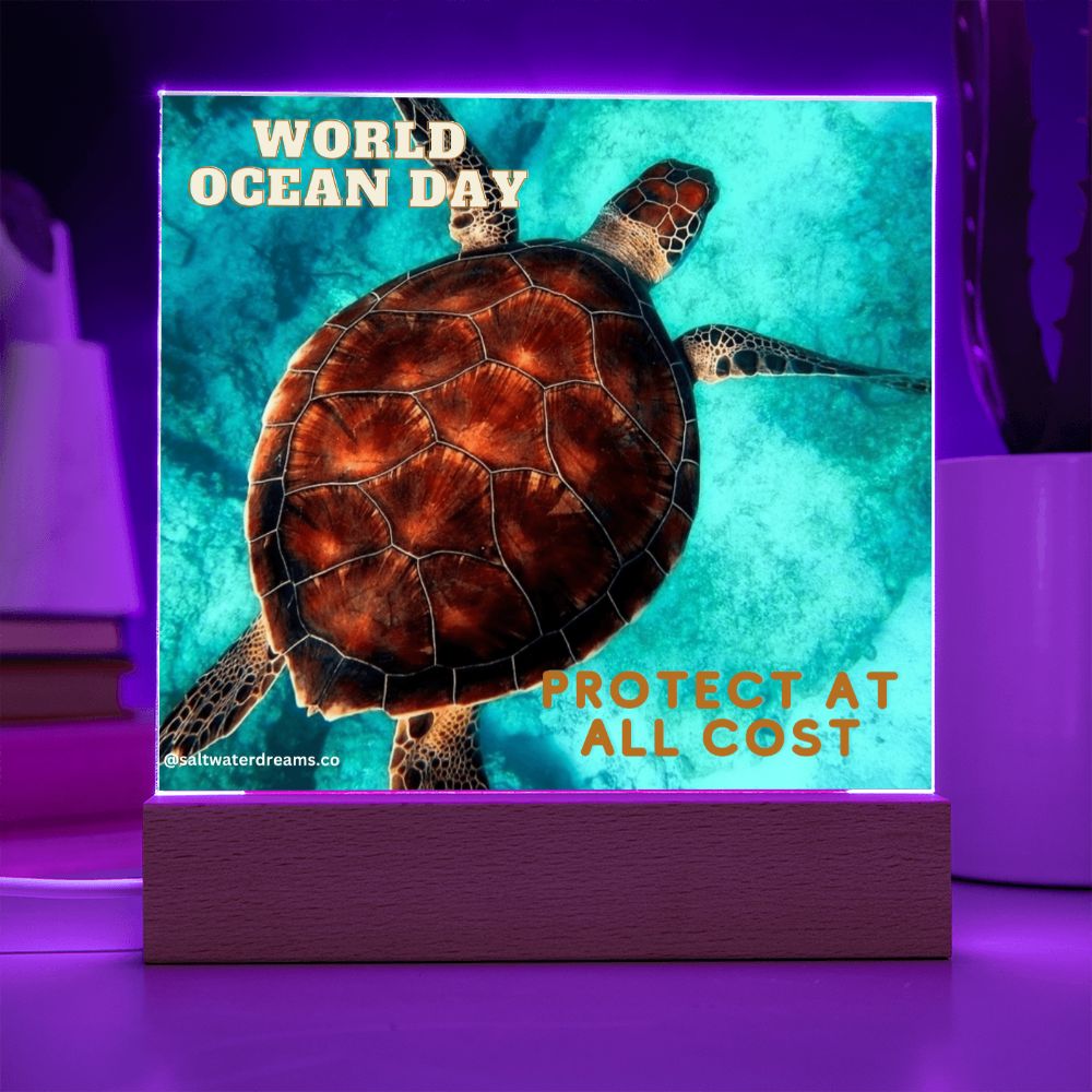WOD - loggerhead turtle - Acrylic Square