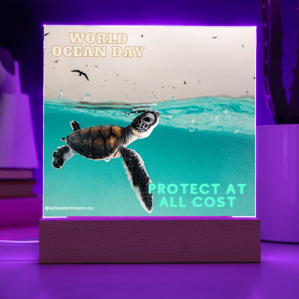 WOD - baby turtle - Acrylic Square