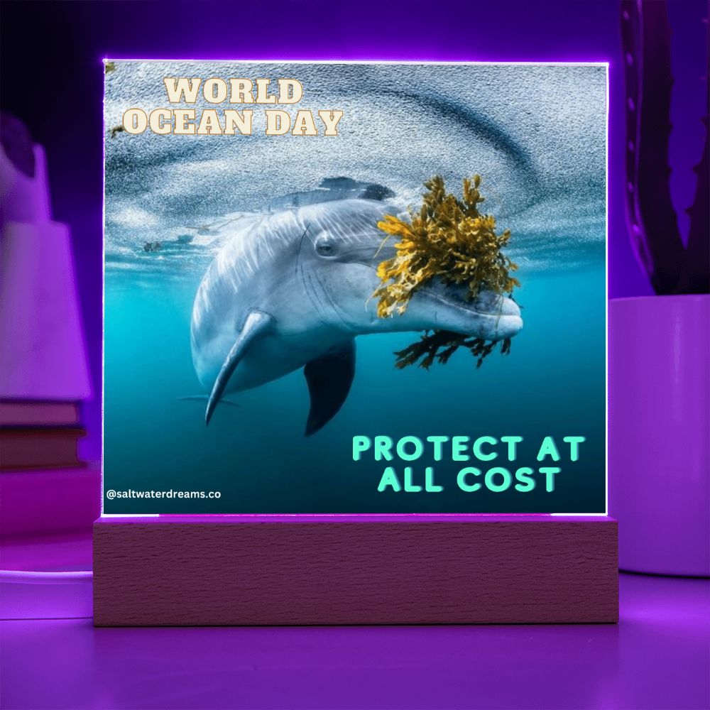 WOD - dolphin seaweed - Acrylic Square