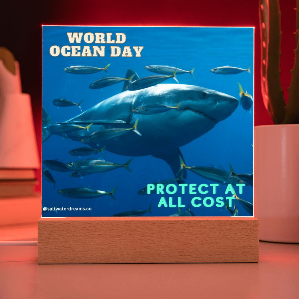 WOD - great white - Acrylic Square