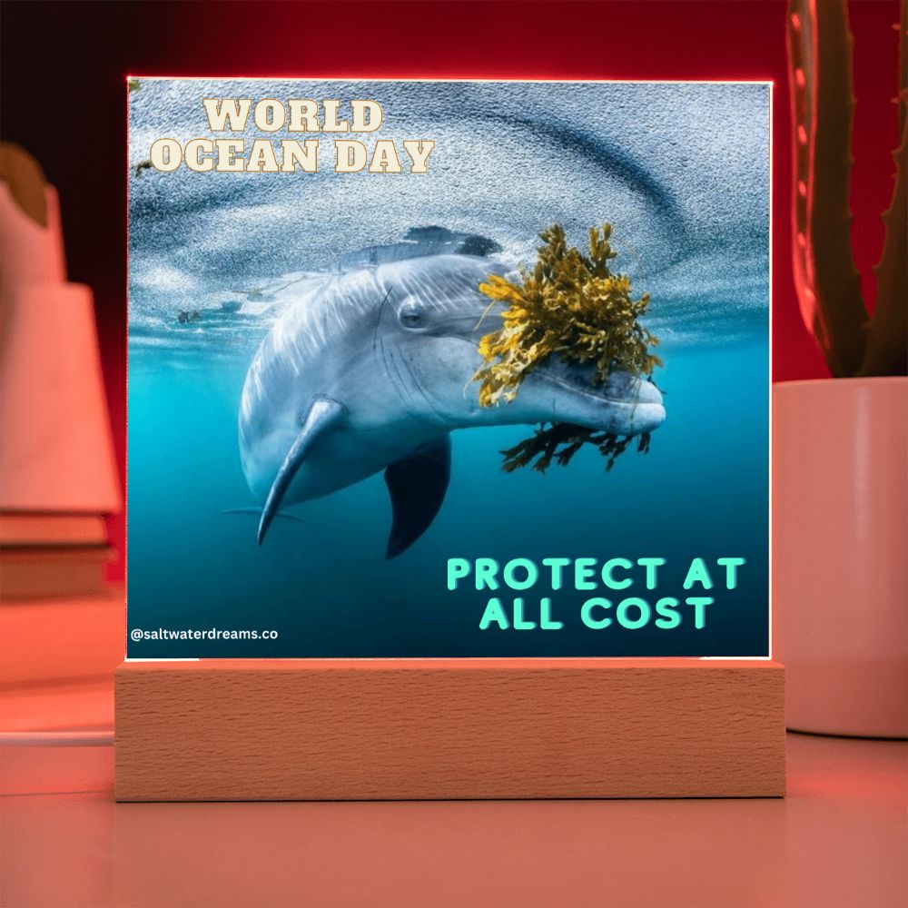 WOD - dolphin seaweed - Acrylic Square