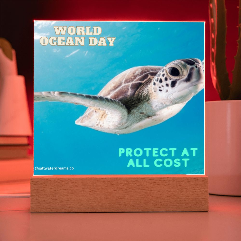 WOD - green sea turtle - Acrylic Square