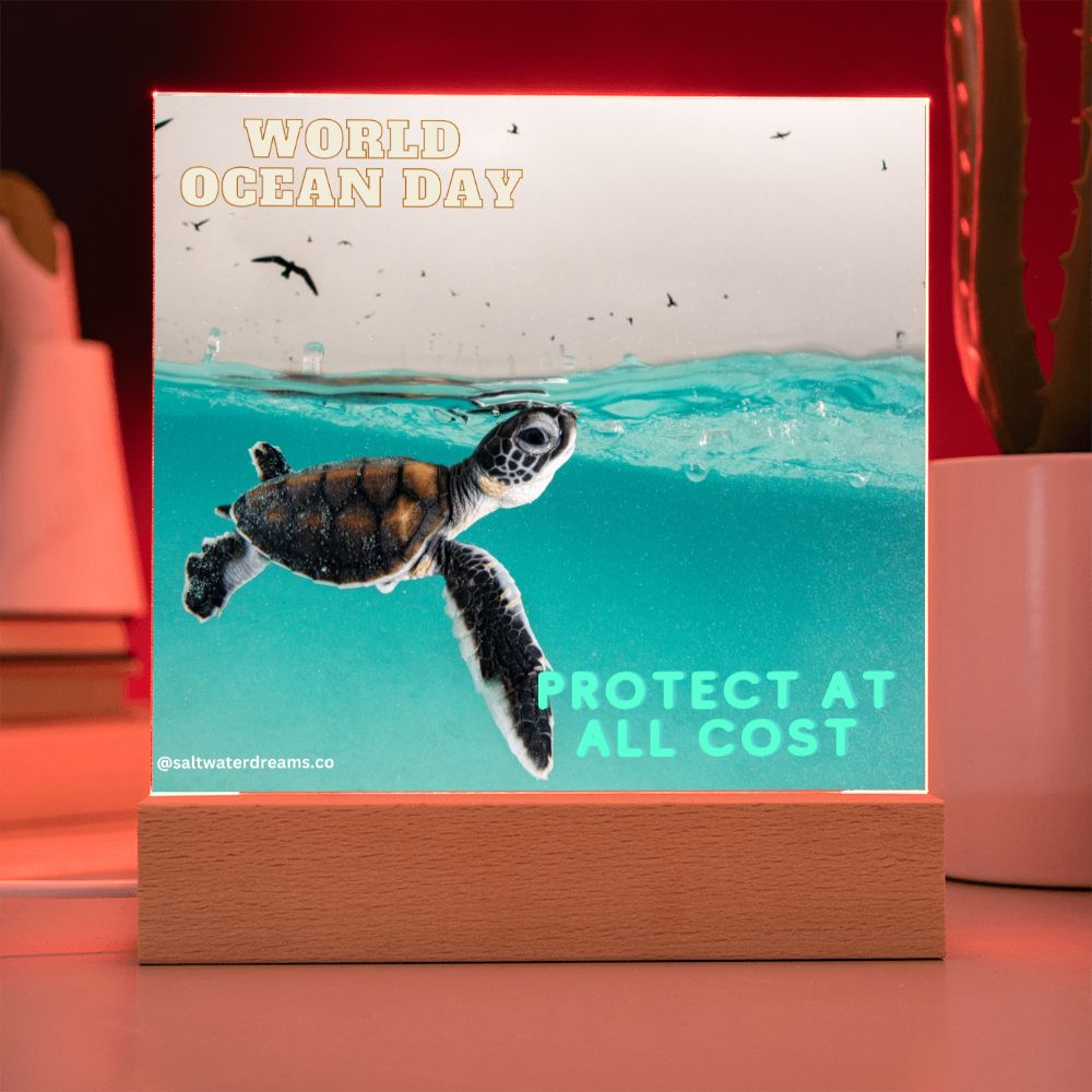 WOD - baby turtle - Acrylic Square